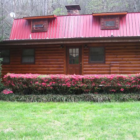 Buffalo Creek Bed And Breakfast Robbinsville Buitenkant foto