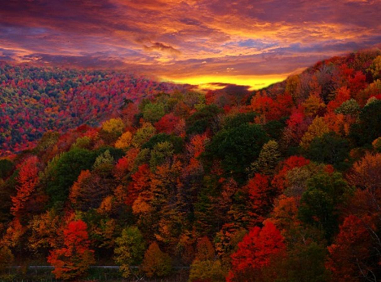 Buffalo Creek Bed And Breakfast Robbinsville Buitenkant foto