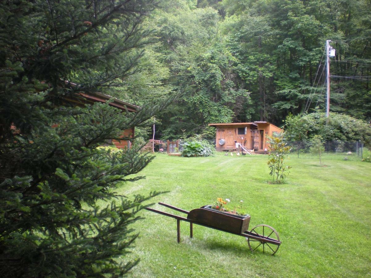 Buffalo Creek Bed And Breakfast Robbinsville Buitenkant foto