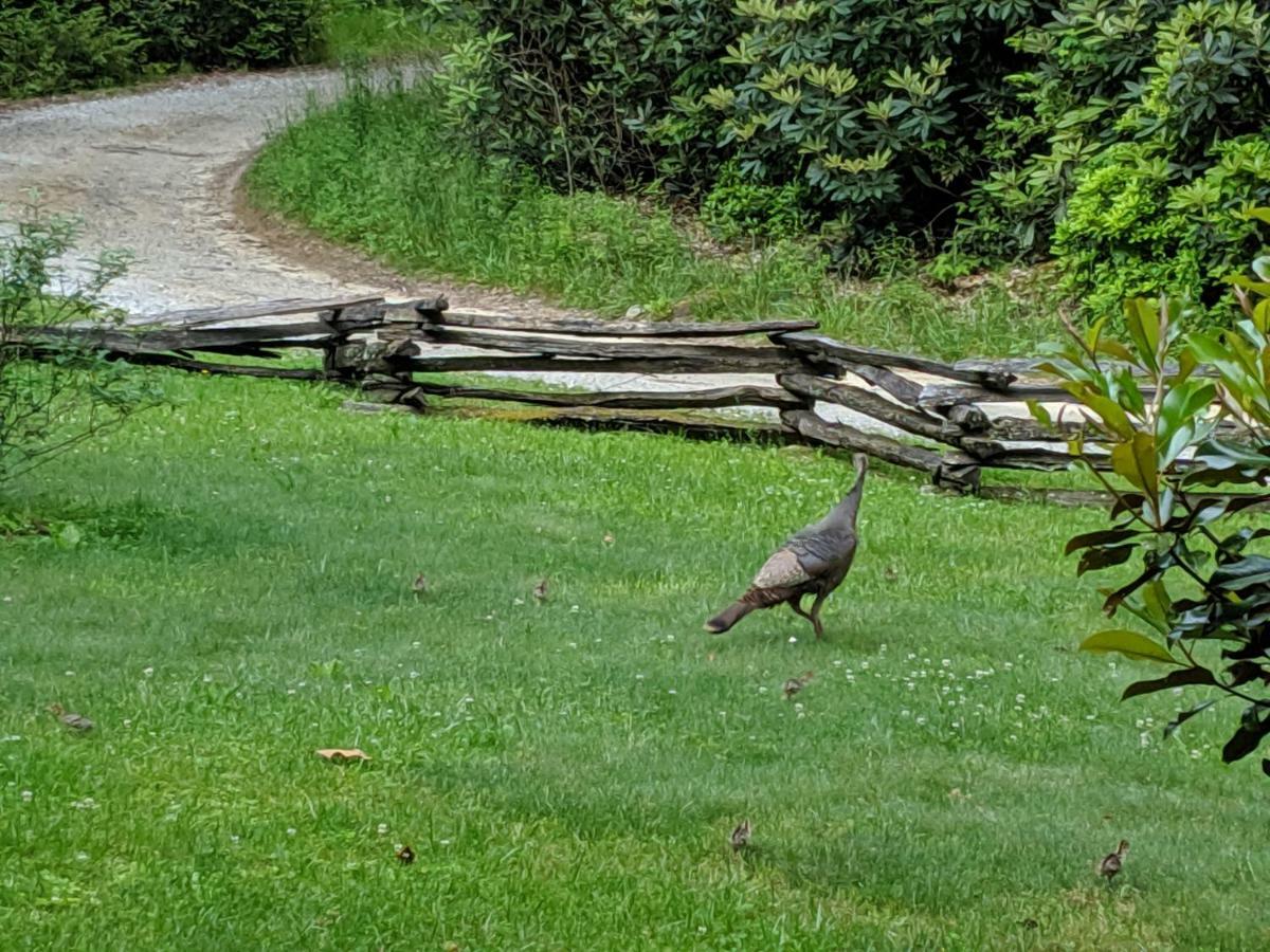 Buffalo Creek Bed And Breakfast Robbinsville Buitenkant foto
